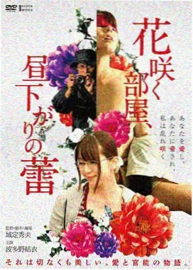 欧美法庭剧集字幕导视卡